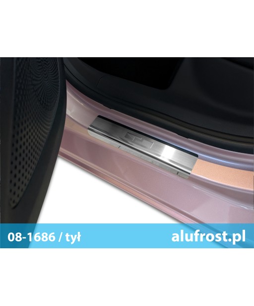 Einstiegsleisten DONGFENG BOX